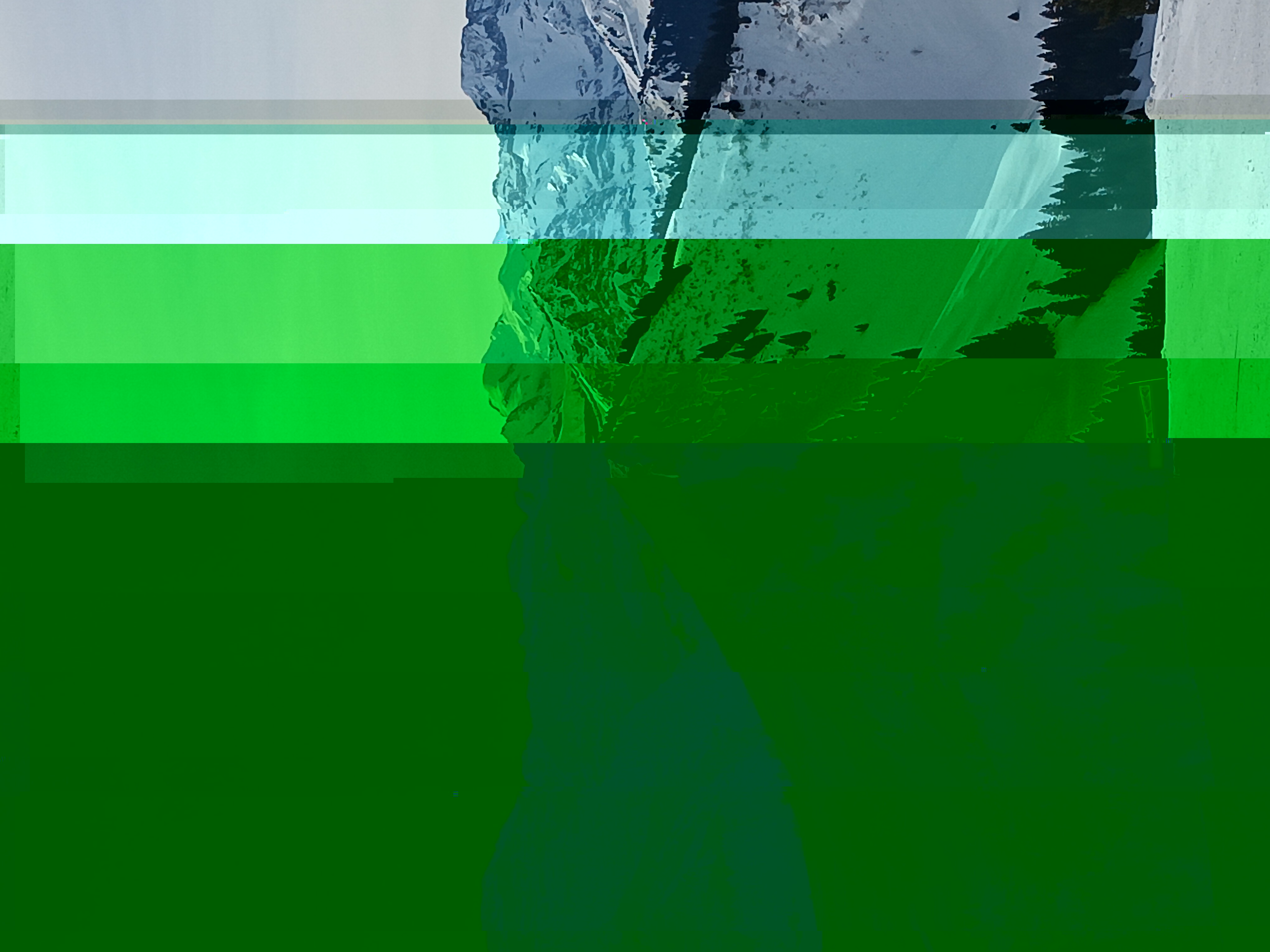 20250221_104143.jpg